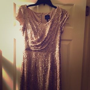 Floor length Adrianna Papell Pink Sequin Gown